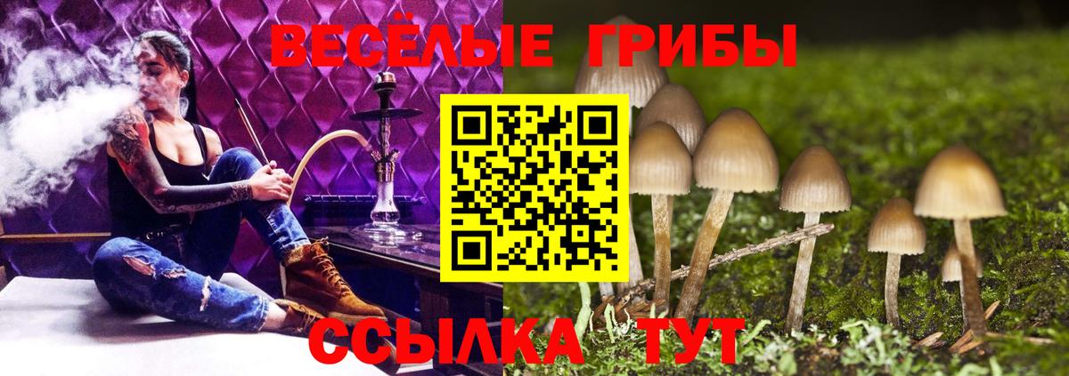 Галлюциногенные грибы MAGIC MUSHROOMS  Вход с VPN  что такое наркотик  Псилоцибиновые грибы Magic Shrooms  Симферополь 